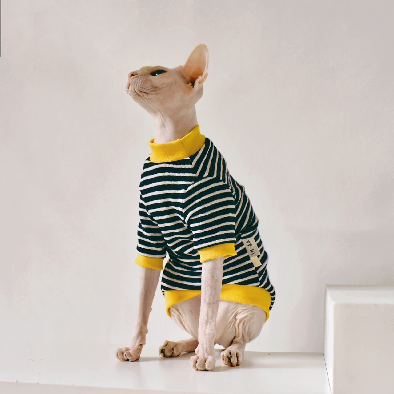 Dress Your Hairless Cat in Style with Our Fabric Sphinx Clothing!